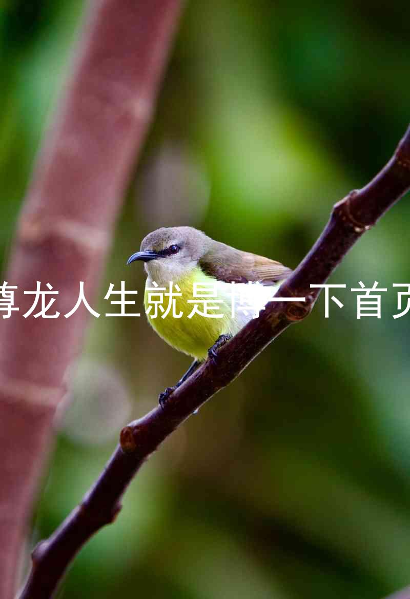 尊龙人生就是博一下首页